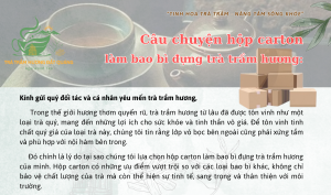 au-chuyen-hop-carton-lam-bao-bi_tratramhuong